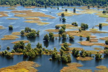 Érdekességek a Duna-Dráva-Mura bioszféra-rezervátumról