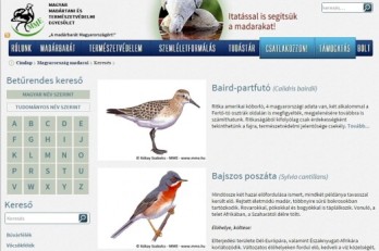 Már a neten Magyarország madárfajainak részletes adatbázisa
