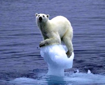 COP 21: nem cuki jegesmacikról van szó