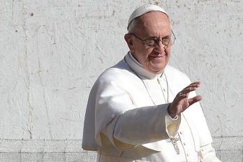 Ferenc pápa szerint meg kell gyónni a természetkárosítást