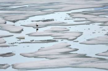 Összetöpörödött az északi-sarki jég