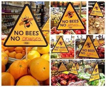 Nem csak méheket gyilkolnak a neonikotinoidos növényvédő szerek