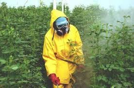 Évi 200 ezer akut halált okoznak a növényvédő szerek