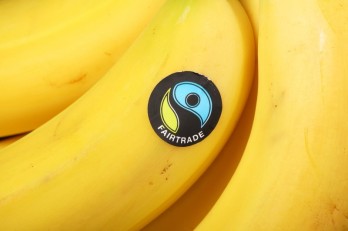Biztonságosabb a Fairtrade és a bio banán