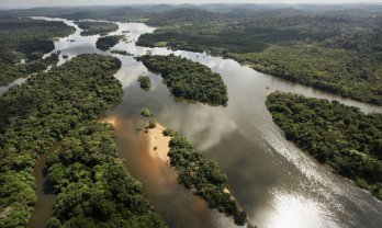 Gyilkos duzzasztógátak az Amazonas mentén
