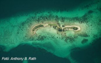Megmenekül a Belize Korallzátony
