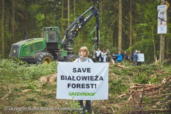 Uniós jogot sértett a bialowiezai erdőirtás 