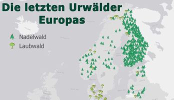 Térképen Európa utolsó őserdei