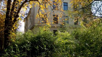 Megújul a Soproni Egyetem botanikus kertje