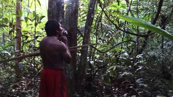 Amazónia lemaradt a klímaváltozás mellett