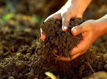 A talaj nem egy korlátlanul rendelkezésre álló erőforrás – tenni kell a védelméért